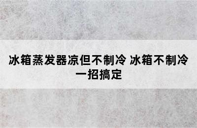 冰箱蒸发器凉但不制冷 冰箱不制冷一招搞定